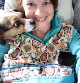 Illustration de l'article : Ce chaton errant aux pattes déformées prouve qu’il est comme tous les autres