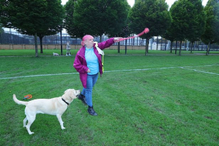 Illustration de l'article : Après avoir progressivement perdu la vue et la joie de vivre, une femme retrouve le bonheur grâce à son chien guide