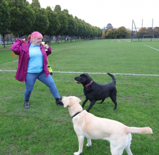 Illustration de l'article : Après avoir progressivement perdu la vue et la joie de vivre, une femme retrouve le bonheur grâce à son chien guide