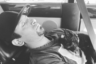 Illustration de l'article : 14 photos craquantes de Gizmo, une adorable chienne aux allures de peluche