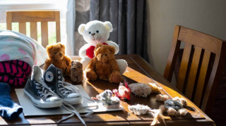 Illustration de l'article : Un frère et une sœur chats sont soupçonnés de dévaliser les maisons voisines