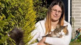 Illustration de l'article : Un frère et une sœur chats sont soupçonnés de dévaliser les maisons voisines