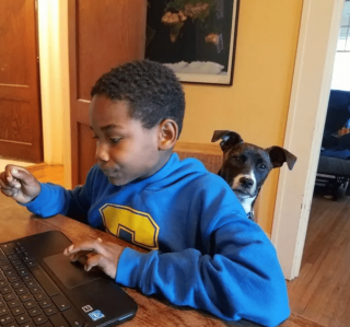 Illustration de l'article : 12 photos amusantes d'animaux qui sont d'humeur studieuse