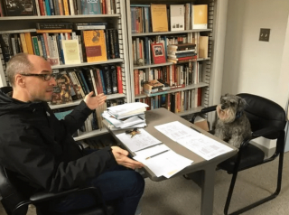 Illustration de l'article : 12 photos amusantes d'animaux qui sont d'humeur studieuse