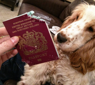 Illustration de l'article : 13 photos hilarantes d'animaux qui ont décidé d'ignorer toutes les règles de courtoisie