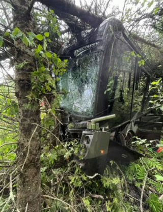 Illustration de l'article : Suite à un accident de camping-car, un chat disparaît et plonge ses proches dans le désespoir