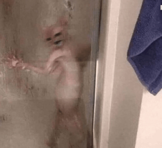 Illustration de l'article : 20 photos poilantes de chiens et de chats laissant s'exprimer leur côté démoniaque, mais qu'on adore malgré tout