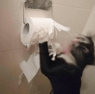 Illustration de l'article : 20 photos poilantes de chiens et de chats laissant s'exprimer leur côté démoniaque, mais qu'on adore malgré tout