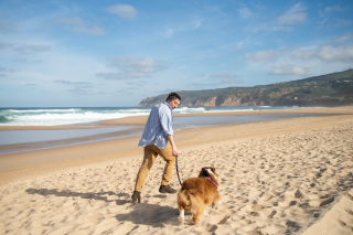 Illustration de l'article : En raison d’une erreur sur le passeport de ses chiens, un homme vivant en France a dû payer près de 600 euros supplémentaires pour rentrer de son voyage au Royaume-Uni