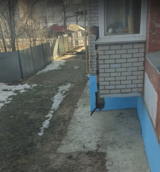 Illustration de l'article : Vidéo : Vivant dans un appartement sans chatière, ces chats se font hisser par la fenêtre à l’aide d’un drap déroulé par leur propriétaire !