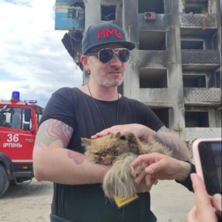 Illustration de l'article : Un chat, bloqué au 7e étage d'un immeuble ukrainien bombardé, voit approcher son seul espoir de sauvetage depuis 1 mois