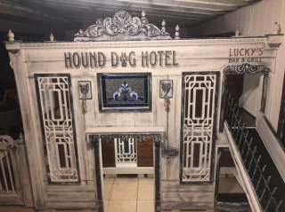 Illustration de l'article : Une femme passionnée d'animaux crée un manoir pour chiens dans sa maison