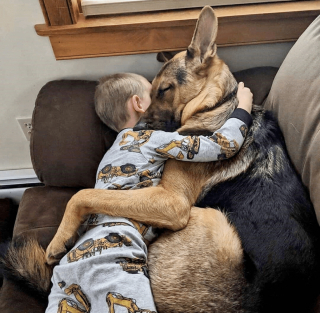 Illustration de l'article : 16 photos attendrissantes montrant à quel point nos animaux tiennent à nous