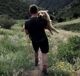 Illustration de l'article : 16 photos attendrissantes montrant à quel point nos animaux tiennent à nous