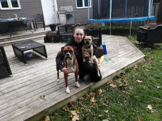 Illustration de l'article : 20 photos de Boxers qui vont vous faire craquer