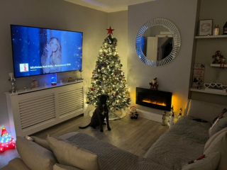 Illustration de l'article : 20 photos de Boxers qui vont vous faire craquer