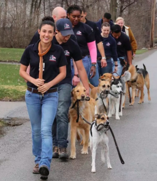 Illustration de l'article : 19 photos amusantes de chiens qui en promènent d'autres