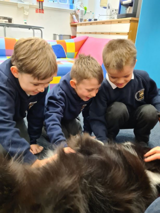 Illustration de l'article : Un chien de thérapie assiste les élèves d’une école primaire dans leur apprentissage de la lecture