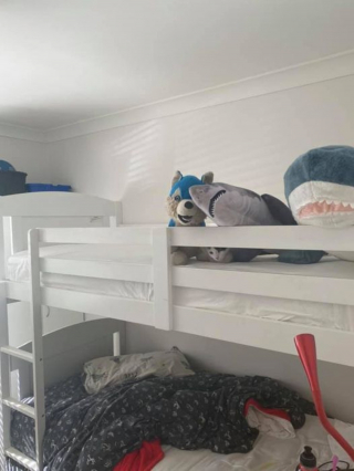 Illustration de l'article : 17 photos de chats imbattables au jeu de cache-cache et vous invitant à jouer à les retrouver