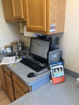 Illustration de l'article : 17 photos de chats imbattables au jeu de cache-cache et vous invitant à jouer à les retrouver