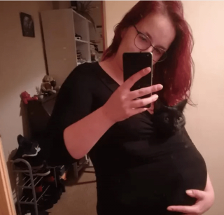 Illustration de l'article : 17 photos de chats imbattables au jeu de cache-cache et vous invitant à jouer à les retrouver