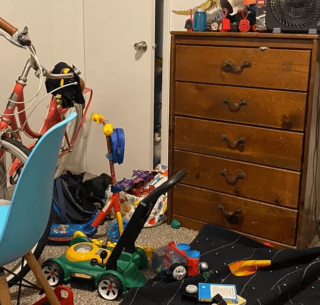 Illustration de l'article : 17 photos de chats imbattables au jeu de cache-cache et vous invitant à jouer à les retrouver