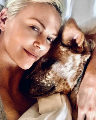 Illustration de l'article : 19 photos de vedettes qui affichent leur amour pour leurs chiens au grand jour
