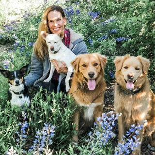 Illustration de l'article : 19 photos de vedettes qui affichent leur amour pour leurs chiens au grand jour