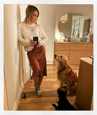 Illustration de l'article : 19 photos de vedettes qui affichent leur amour pour leurs chiens au grand jour