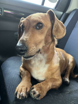 Illustration de l'article : 20 photos d'animaux qui nous apprennent à voir la vie du bon côté