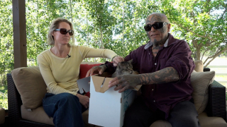 Illustration de l'article : Une famille retrouve son chat adoré, 3 ans après sa disparition