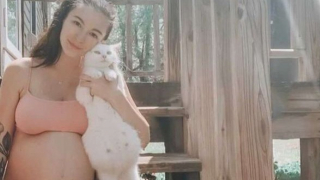 Illustration de l'article : Une femme enceinte décide de prendre sous son aile une chatte qui attend des bébés (vidéo)