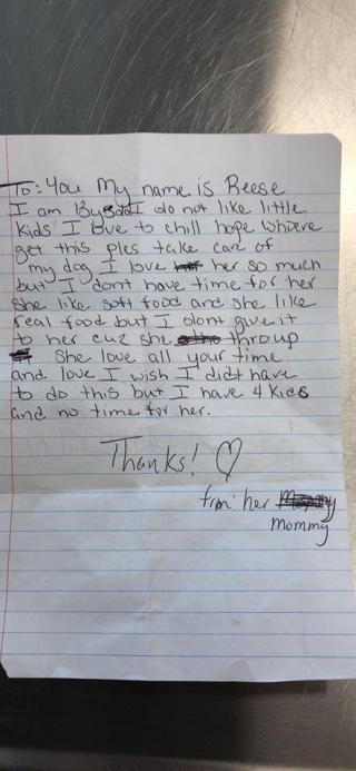 Illustration de l'article : Une chienne de 13 ans a été abandonnée devant une maison inconnue avec une triste lettre