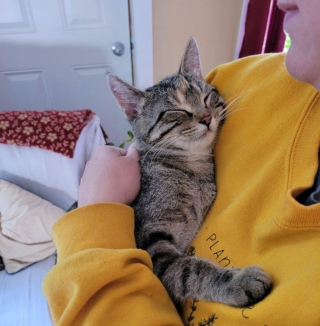 Illustration de l'article : 14 photos d'animaux tout heureux d'avoir trouvé leur âme sœur