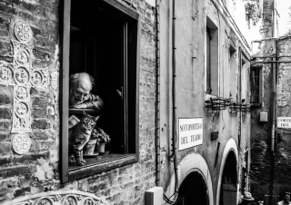 Illustration de l'article : 20 photos en noir et blanc et pleines de tendresse de chats vénitiens avec leurs propriétaires