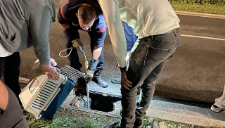 Illustration de l'article : Un chaton coincé dans un égout provoque une mobilisation générale