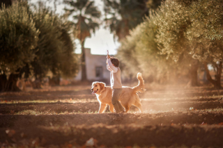 Illustration de l'article : 16 photos racontant la merveilleuse complicité unissant un garçon et sa chienne Golden Retriever