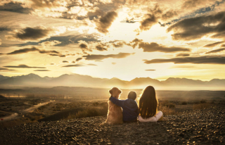 Illustration de l'article : 16 photos racontant la merveilleuse complicité unissant un garçon et sa chienne Golden Retriever