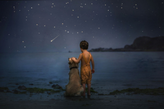 Illustration de l'article : 16 photos racontant la merveilleuse complicité unissant un garçon et sa chienne Golden Retriever