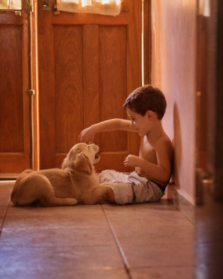 Illustration de l'article : 16 photos racontant la merveilleuse complicité unissant un garçon et sa chienne Golden Retriever