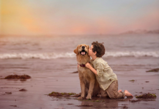 Illustration de l'article : 16 photos racontant la merveilleuse complicité unissant un garçon et sa chienne Golden Retriever