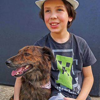 Illustration de l'article : 19 photos inspirantes d'un garçon de 12 ans qui donne le bain aux chiens errants pour les aider à trouver une famille