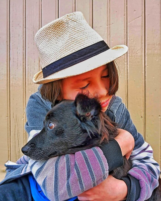 Illustration de l'article : 19 photos inspirantes d'un garçon de 12 ans qui donne le bain aux chiens errants pour les aider à trouver une famille