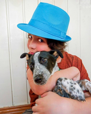 Illustration de l'article : 19 photos inspirantes d'un garçon de 12 ans qui donne le bain aux chiens errants pour les aider à trouver une famille