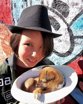 Illustration de l'article : 19 photos inspirantes d'un garçon de 12 ans qui donne le bain aux chiens errants pour les aider à trouver une famille