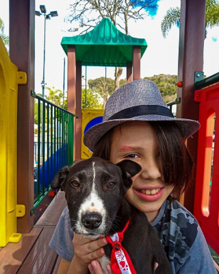 Illustration de l'article : 19 photos inspirantes d'un garçon de 12 ans qui donne le bain aux chiens errants pour les aider à trouver une famille