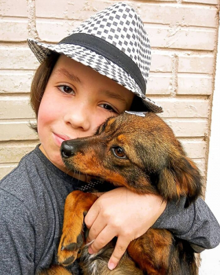 Illustration de l'article : 19 photos inspirantes d'un garçon de 12 ans qui donne le bain aux chiens errants pour les aider à trouver une famille