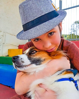 Illustration de l'article : 19 photos inspirantes d'un garçon de 12 ans qui donne le bain aux chiens errants pour les aider à trouver une famille