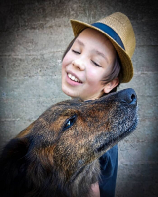 Illustration de l'article : 19 photos inspirantes d'un garçon de 12 ans qui donne le bain aux chiens errants pour les aider à trouver une famille