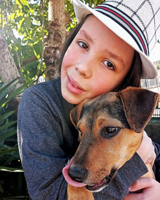 Illustration de l'article : 19 photos inspirantes d'un garçon de 12 ans qui donne le bain aux chiens errants pour les aider à trouver une famille